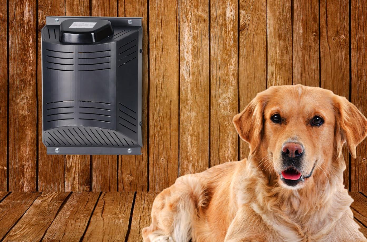 Amazon.com: ClimateRight Electric Heater for Dog Houses and Animal Shelters  - Easy to Install - Pet-Safe Chew-Proof Cord : Pet Supplies