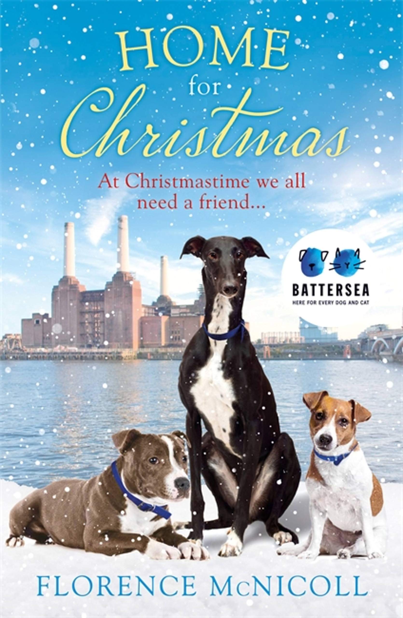 Home for Christmas: The perfect book to curl up. McNicoll.#+,.#+,.#+,.#
