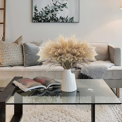 Miniatura 3 de Uieke 500 piezas de hierba seca natural de las pampas de 17 pulgadas de alto, flores secas a granel para arreglos florales de boda, corona de