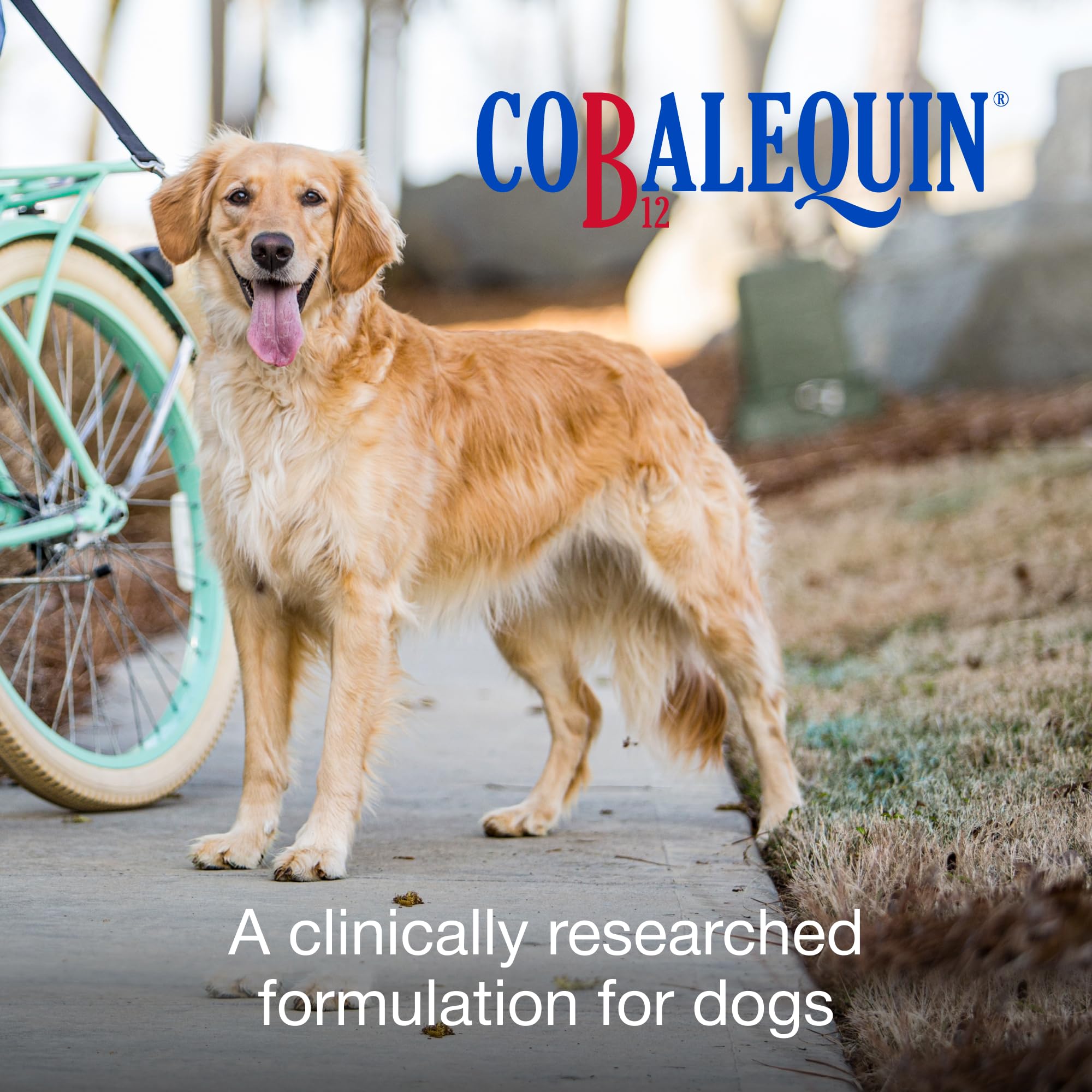 Nutramax Cobalequin Vitamin B12 for Dogs Over 21lbs, Chewable Tablets, 45ct — Amazon image 2