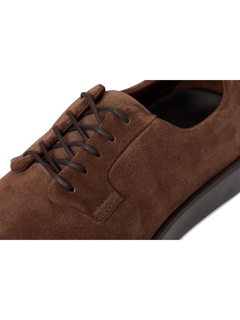 Brown Wolf & Shepherd Closer Derby