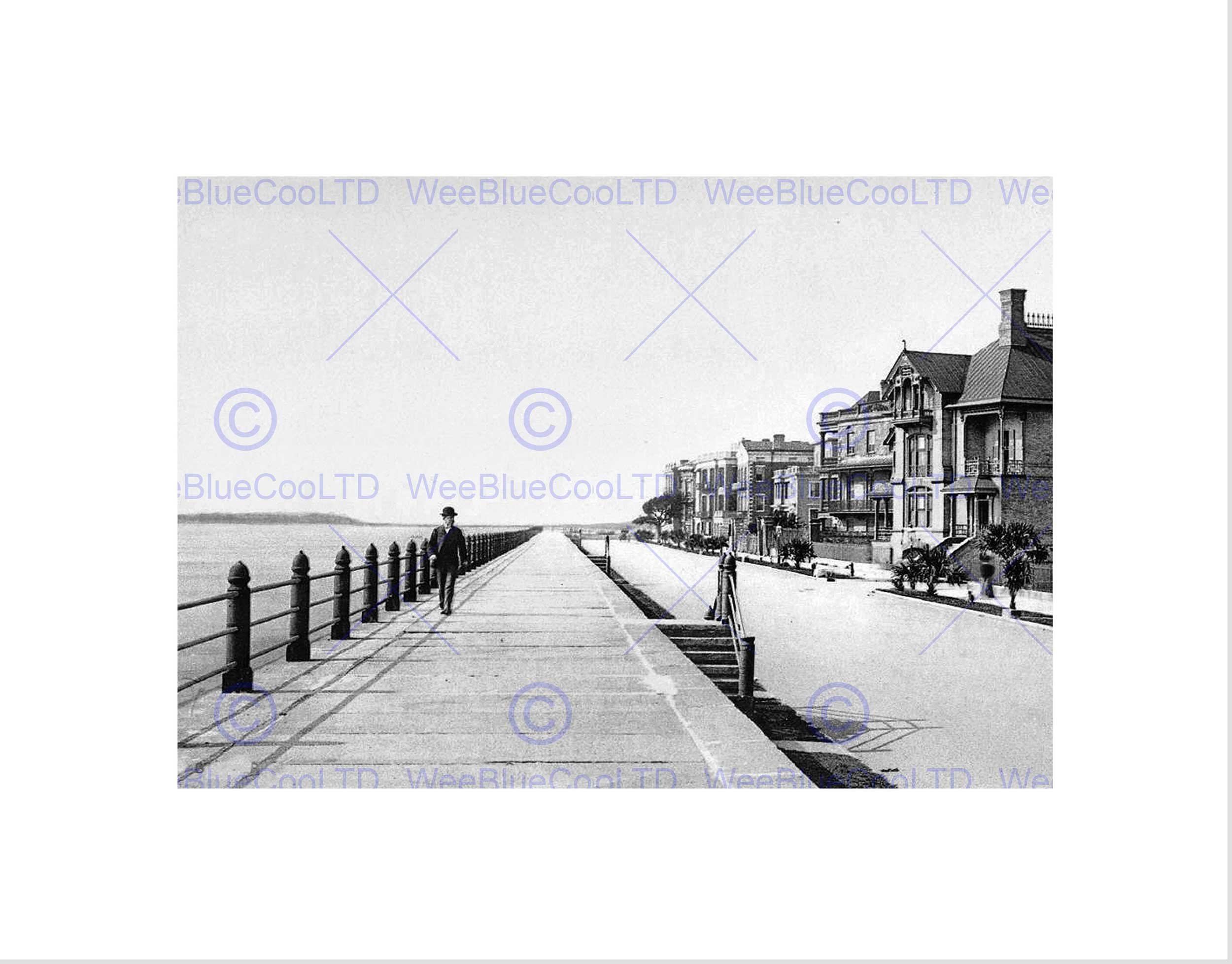 Wee Blue Coo East Battery Parade Charleston 1900 Old BW Wall Art Print