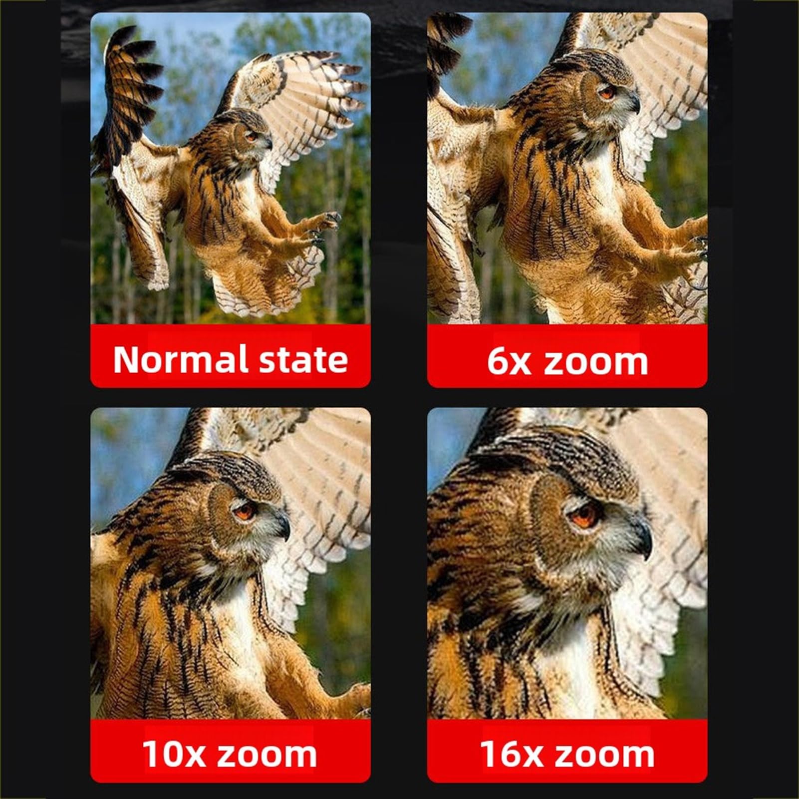 Telescopio Monoculare Digitale, Monoculare con Zoom 1080P HD 16X con Foto da 12 MP, Batteria da 2500 MAh, per Birdwatching Campeggio Escursionismo Viaggi