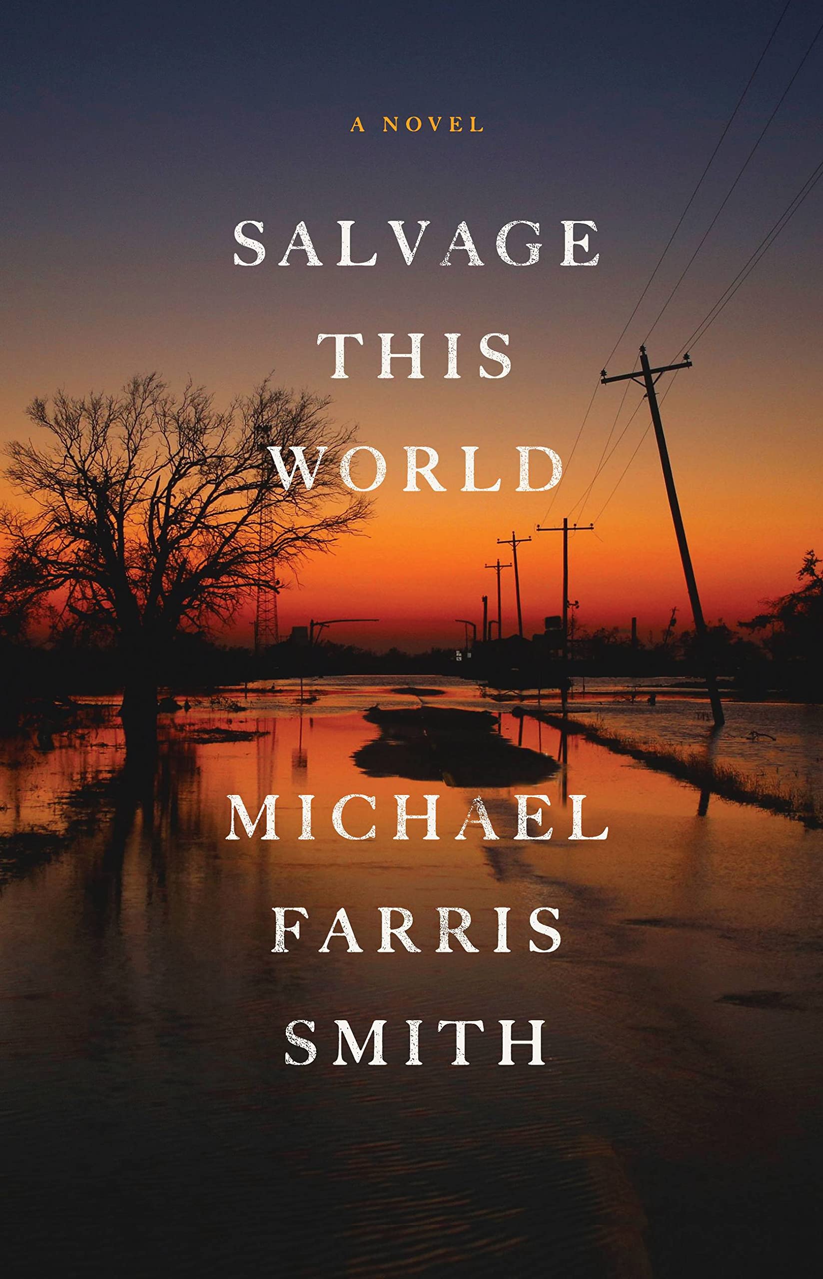 Cover of Salvage This World