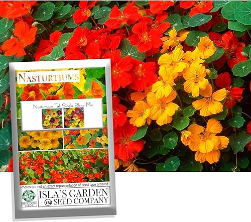 Semillas de flores altas de capuchina (mezcla simple), 50 semillas de reliquia por paquete, semillas de jardín de Isla (semillas de jardín de Isla),