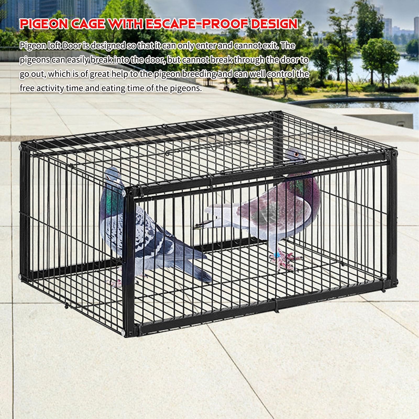 Trampa para Palomas a Prueba de Fugas: Jaula Plegable galvanizada para pájaros, diseño portátil para un fácil Montaje, solución eficaz para el Control de Aves en el hogar y el jardín.