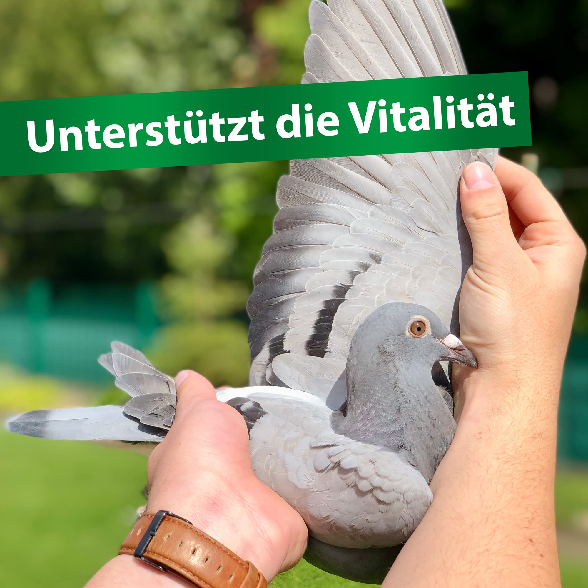 Röhnfried Avidress Plus 5000 ml | Senkt das Infektionsrisiko im Trinkwasser für Tauben & Kaninchen | Enthält Mineralien, Oregano & Zimt