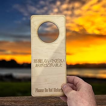 81Fegqwi26L._AC_UF350,