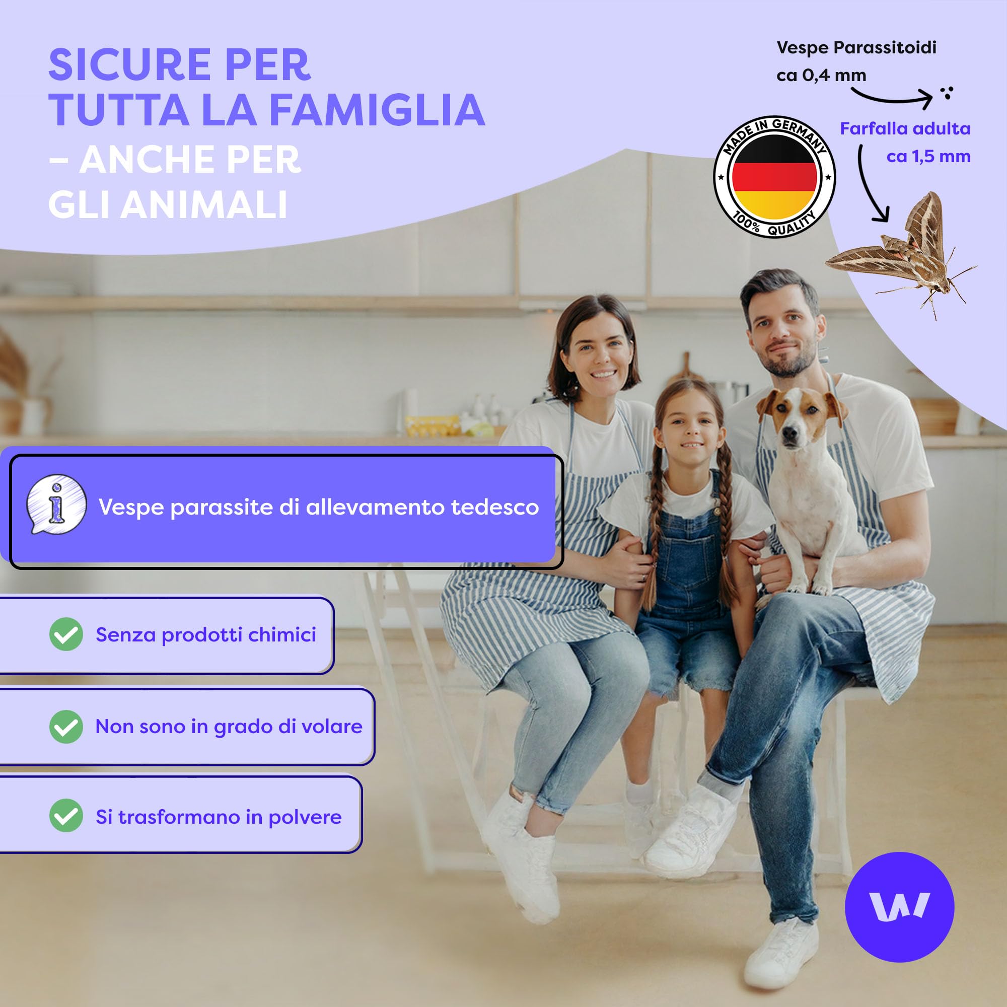 Wolkenfeld Vespe parassitoidi Contro Le tarme Alimentari – 10 Carte – Lotta Efficace e priva di Sostanze chimiche Contro Le tarme – Alternativa Naturale a trappole per tarme
