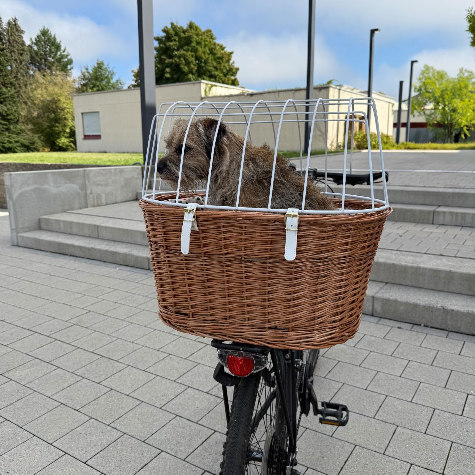 Aumüller Fahrrad-Tierkorb Gr. L, mit Polstereinlage, L: 52 cm - Gepäckträgermontage