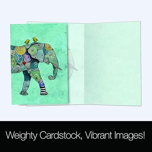 Miniatura 5 de Tree-Free Greetings Paquete de 8 tarjetas de felicitación, papel 100% reciclado, tarjetas ecológicas, fabricadas en los Estados Unidos, paquete