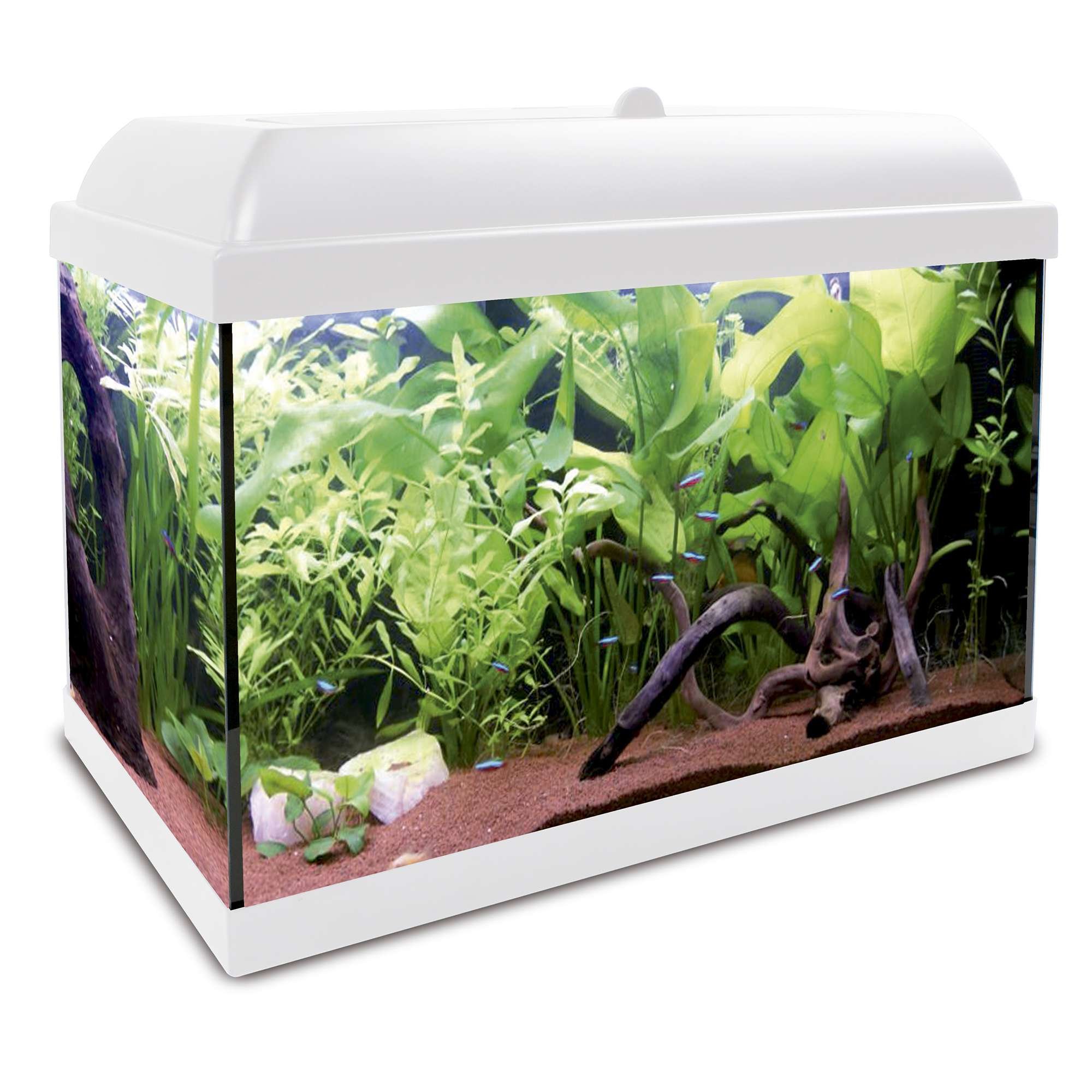 ICA KHA25B Kit Hydra 25 para Agua Dulce