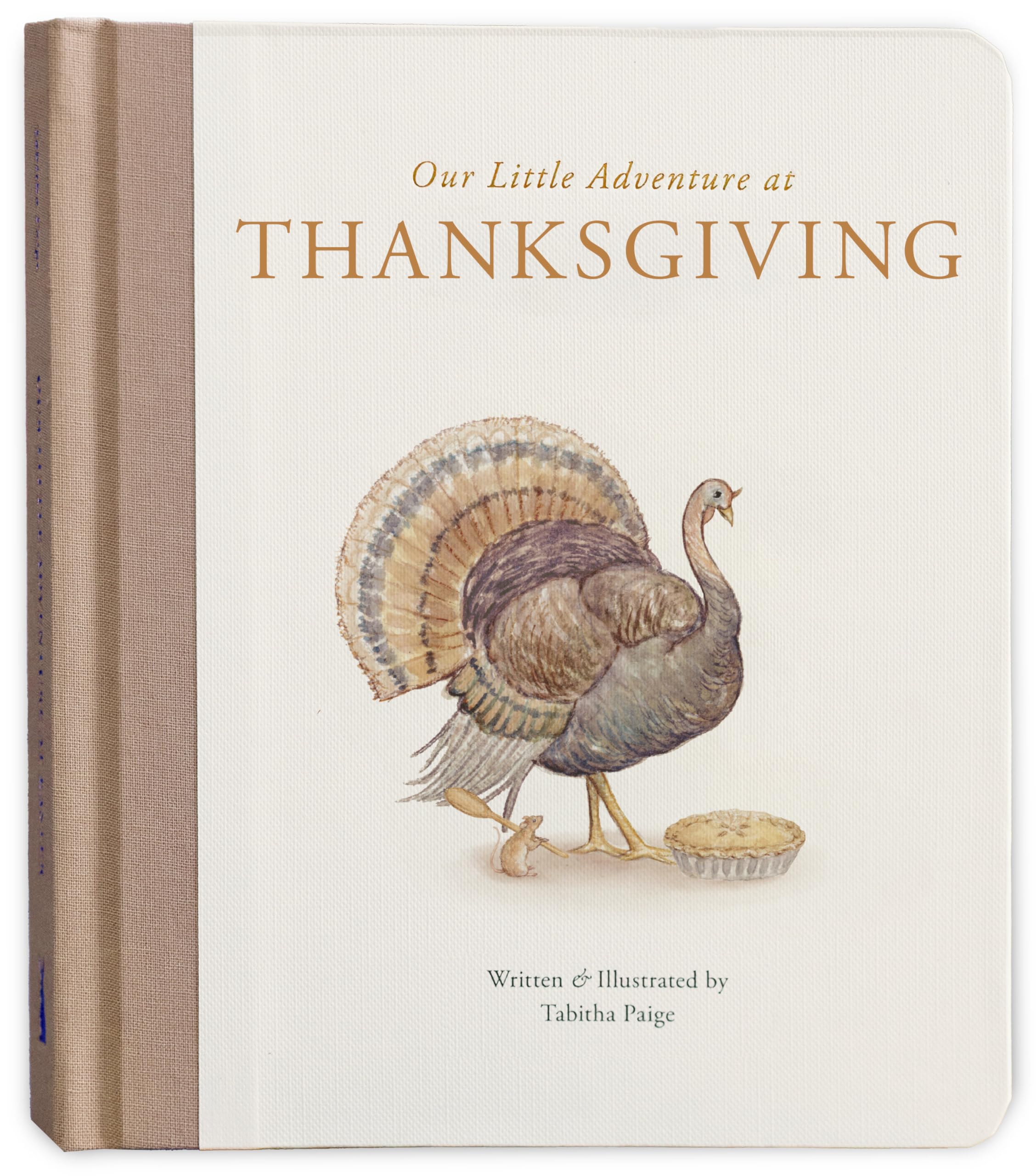 Our Little Adventure at Thanksgiving: Featuring Foundational Language Concepts and Lessons on Gratitude: 22 (Tabitha Paige Children's Book Series)