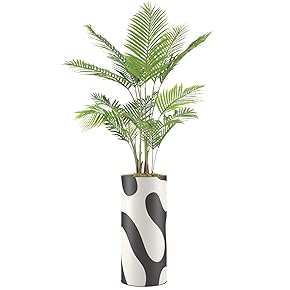 SIGNWIN Areca Palm Tree with Black & White...