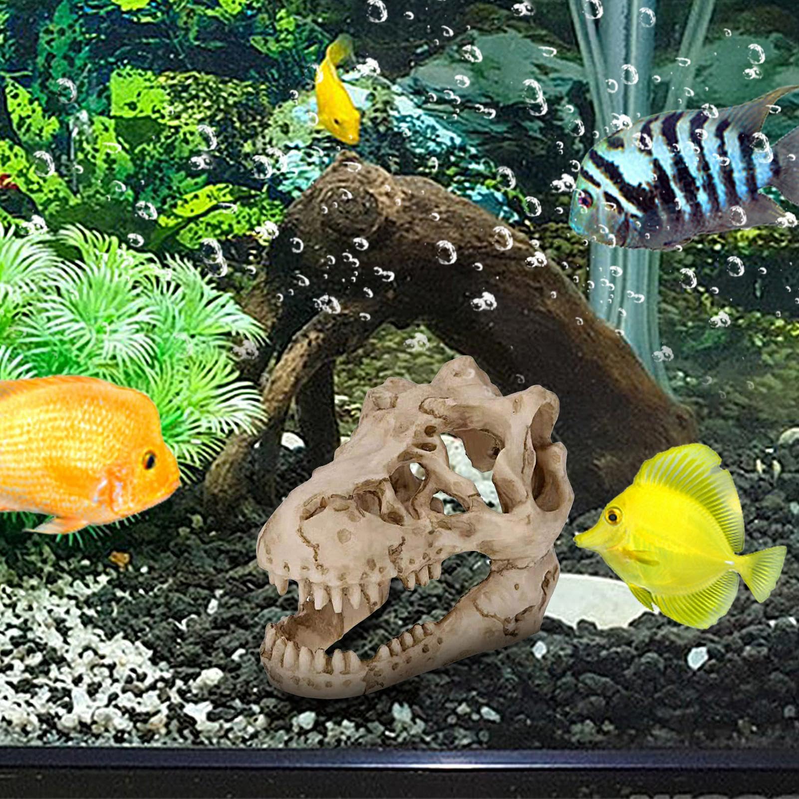Amazon.co.jp: 恐竜の水槽の装飾、恐竜の骨格モデル - 小説