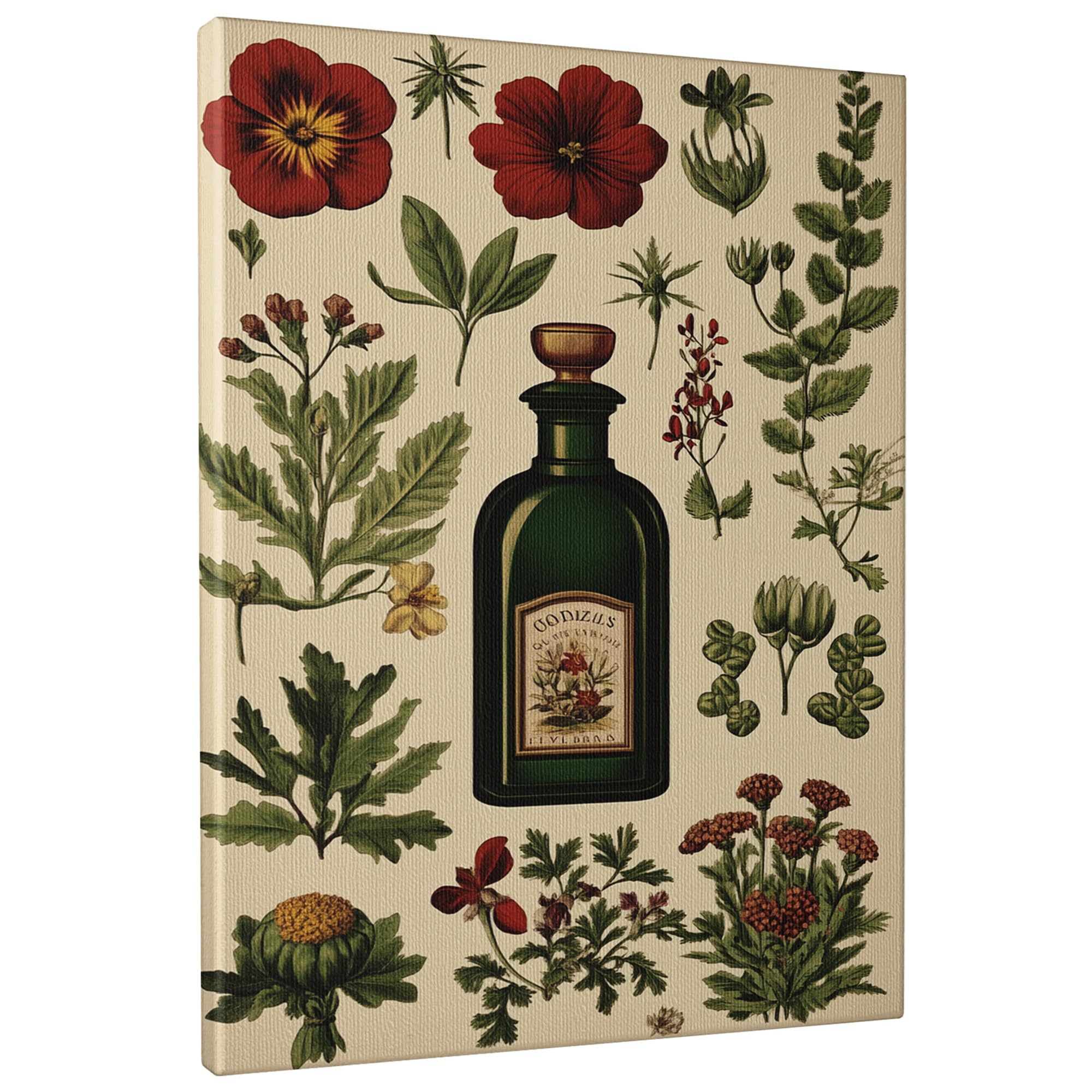 Affiche herboriste bouteille verte 40x50cm décoration murale botanique
