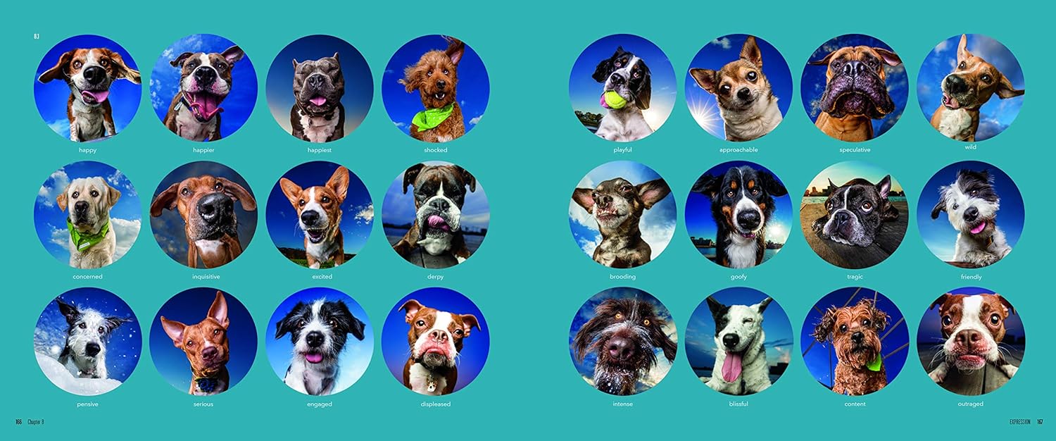 Dogtography: A Knock-Your-Socks-Off Guide to Capturing the Best Dog Photos on Earth      Paperback – November 24, 2020