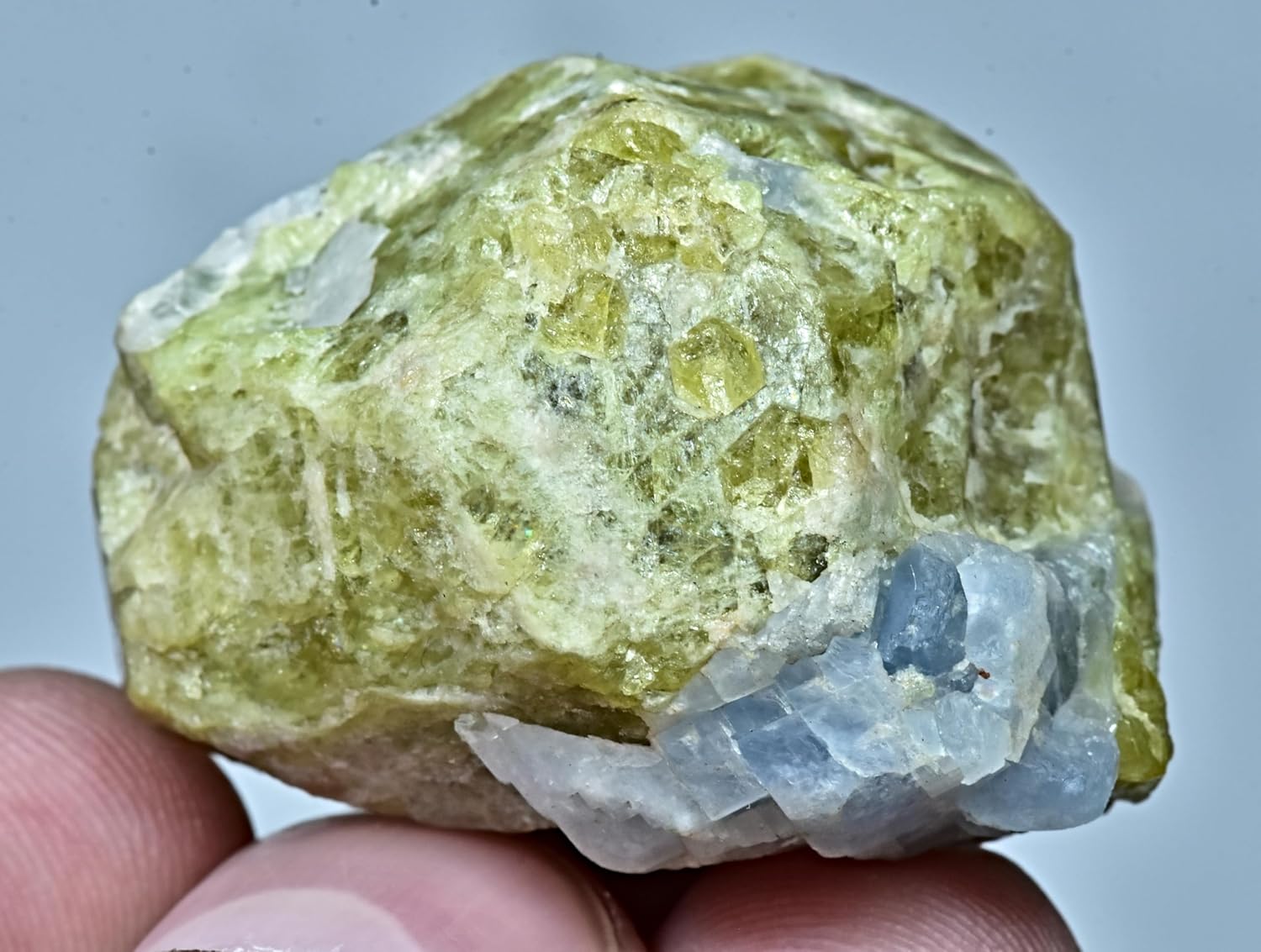 46 Gram Natural Terminated Vesuvianite Crystal Combined with Blue Calcite
