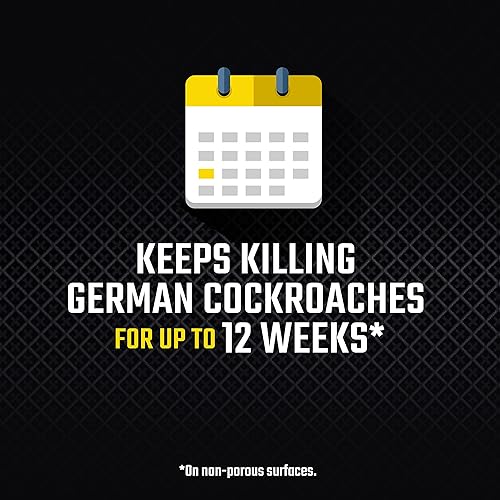 Miniatura 4 de Black Flag Nebulizador para interiores, paquete de 4, transparente