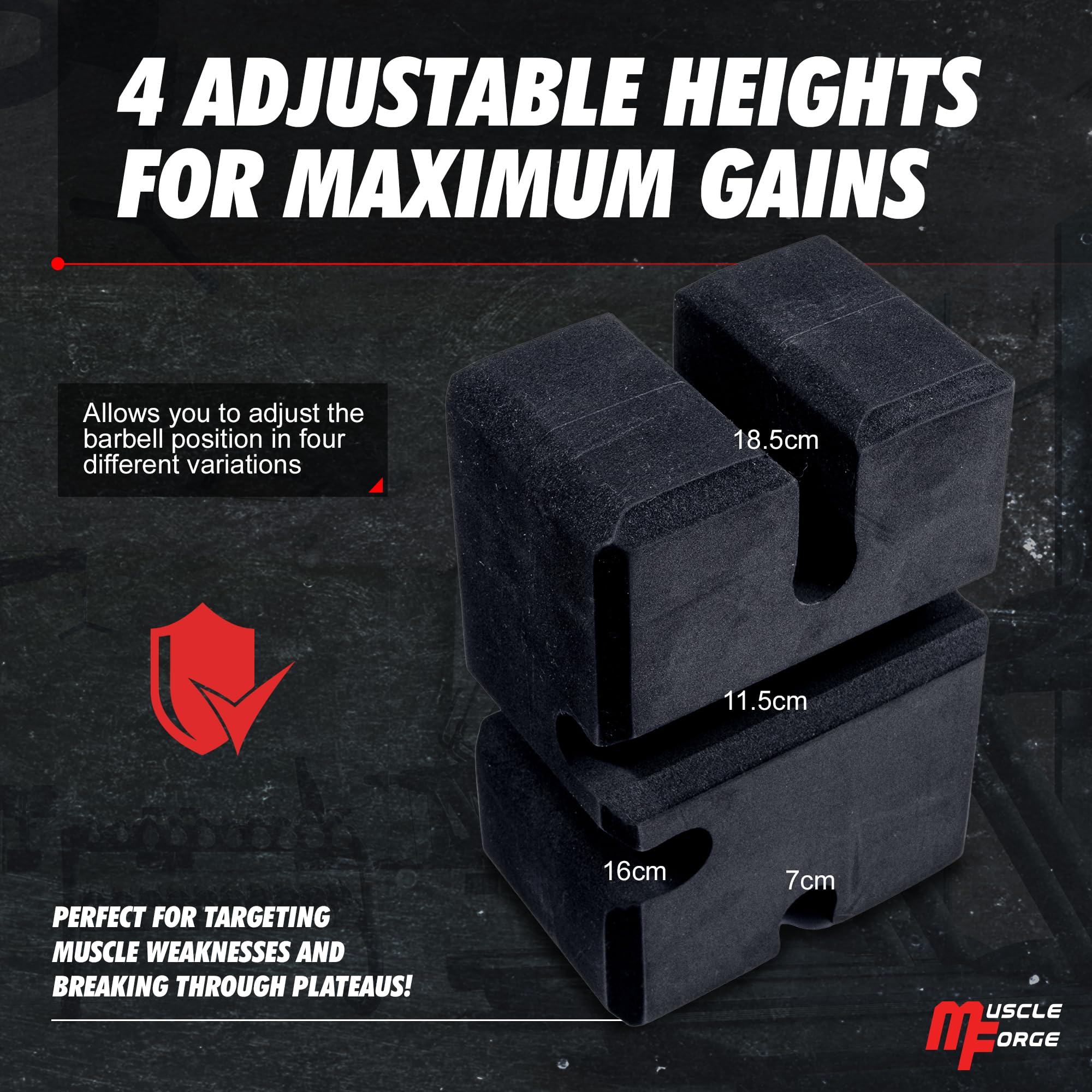 MuscleForge Bloc D'Entraînement Développé Couché - 4 Réglages Pour Powerlifters & Culturistes