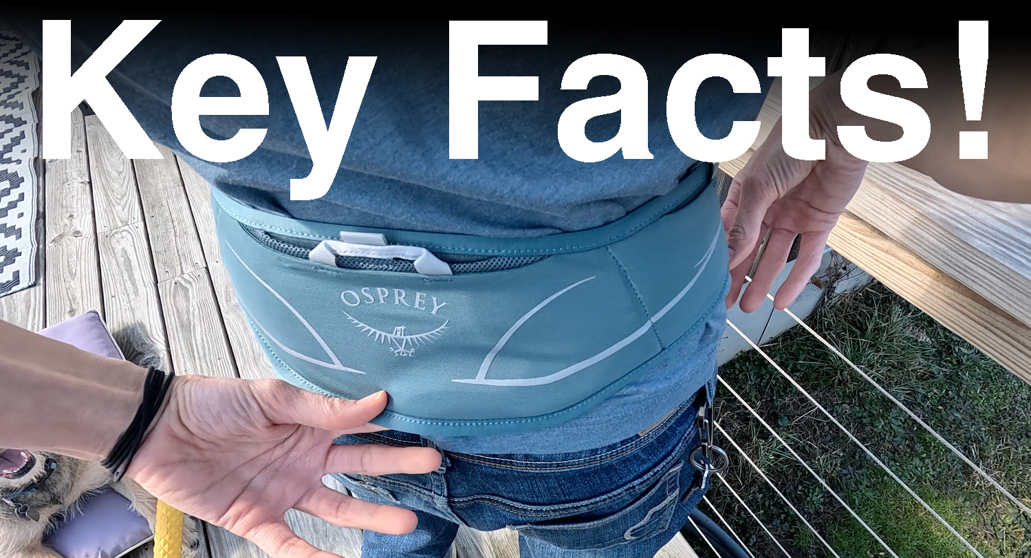 north face black original blue backpack The Shady 35L Travel seo.hidden Color:Cabin Gold Checkered Backpack Womens Mini molded shoulder straps