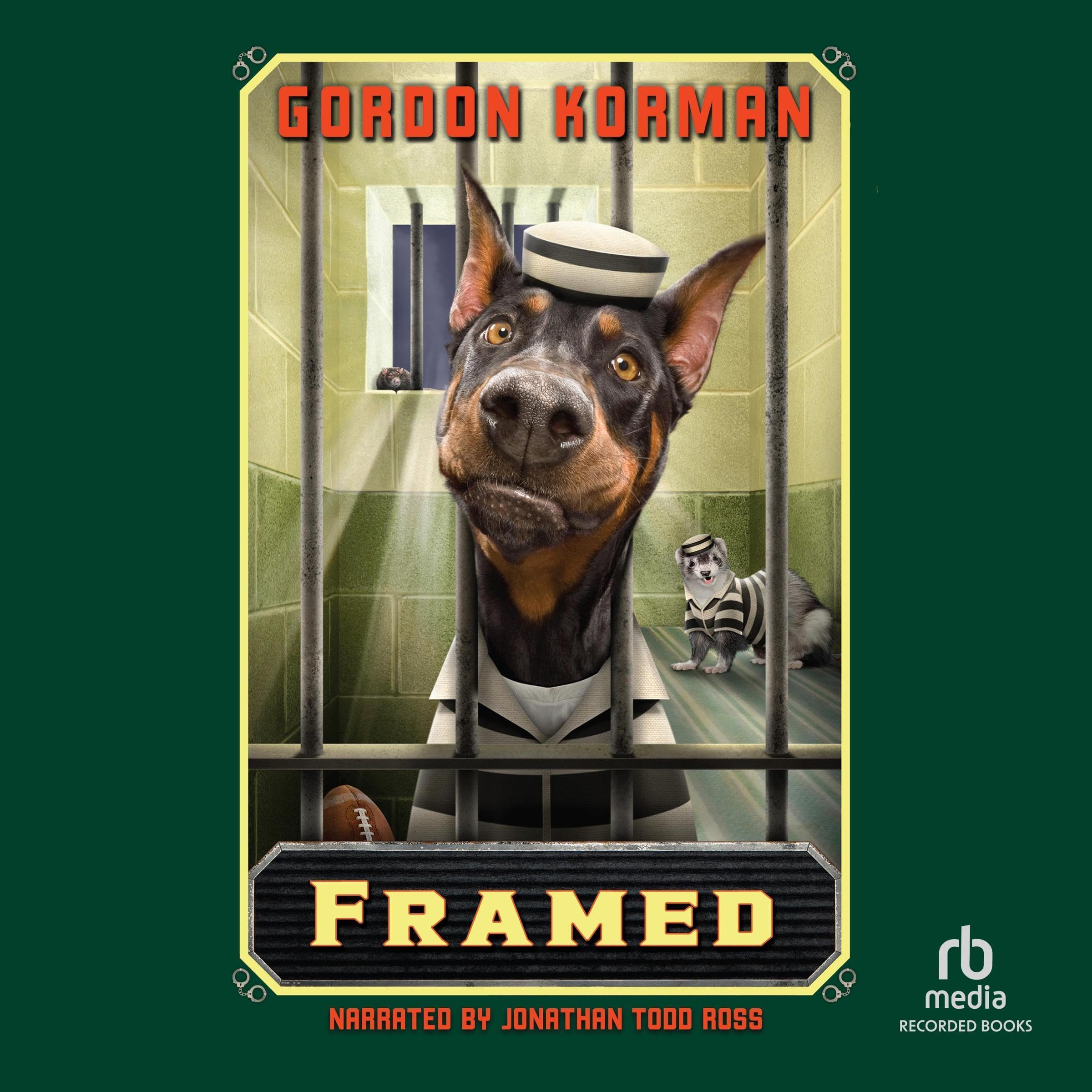 Cover art for Framed