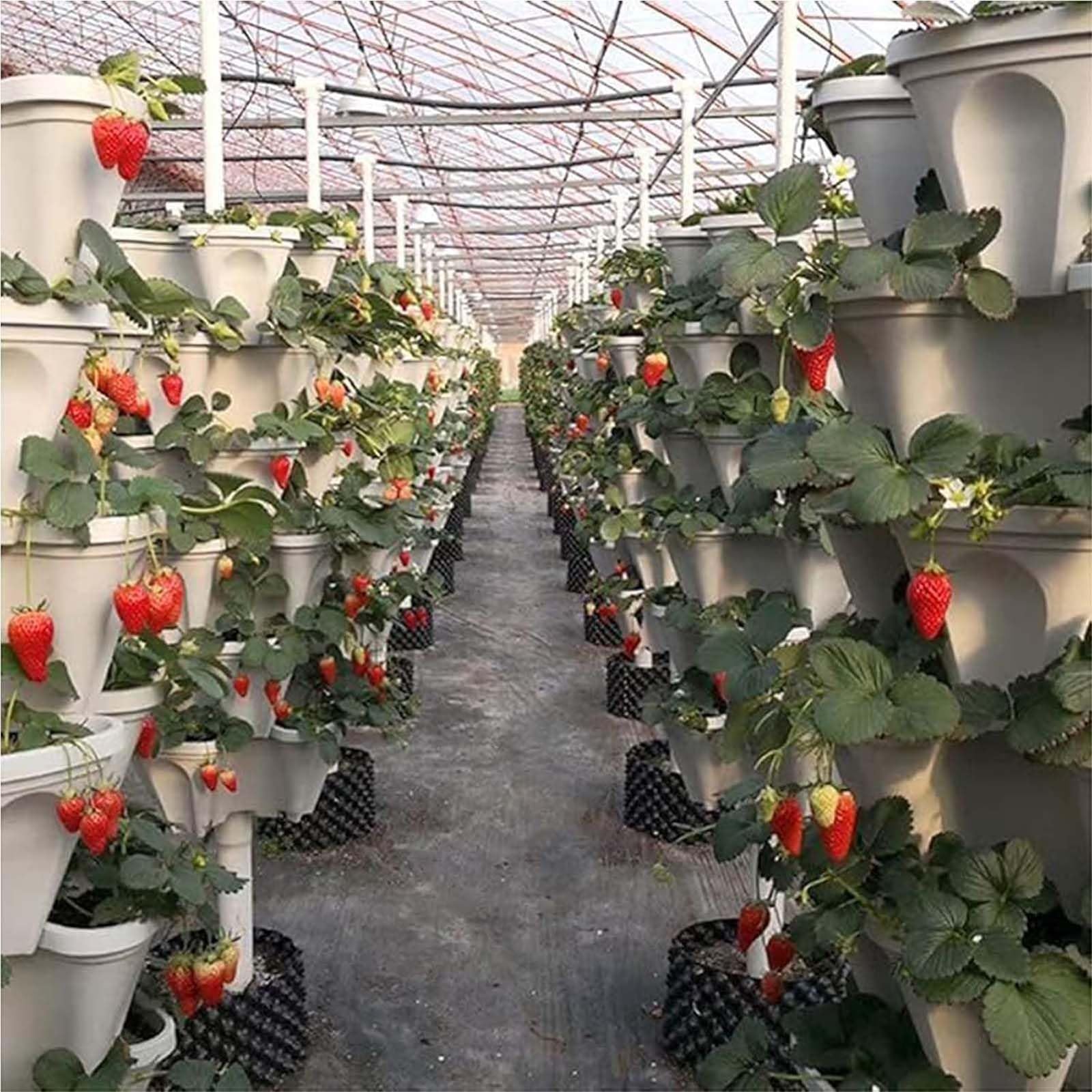 Vasi per Piante di Fragola Fragole Ultra Robuste Vaso da Fiori Tridimensionale Vaso Impilabile Multistrato Vaso in Plastica Fragola per Balcone Giardino Interni Ed Esterni
