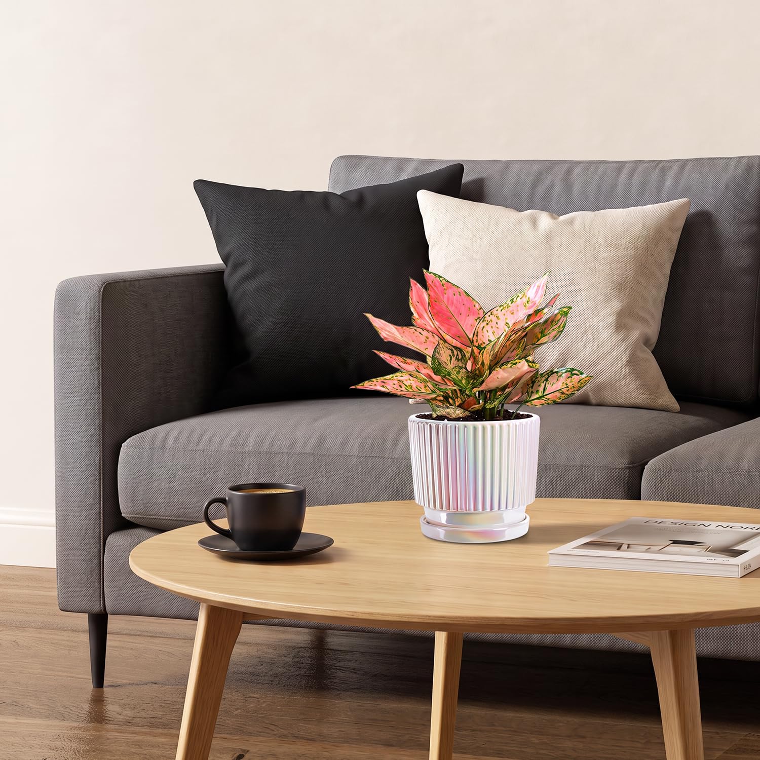 Lot de 2 pots de fleurs en céramique avec trous de drainage et soucoupe