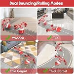 Interactive Dog Toys – Dog Balls for Small Dogs, Dog Toy for Boredom, Active Rolling Ball with Tail for Dogs, Rechargeable Moving Dog Ball for Puppies and Pet (Red)