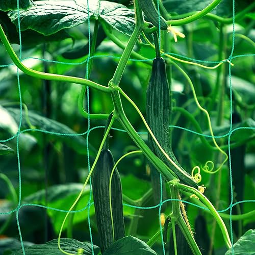 Red enrejado para plantas trepadoras, red de cultivo de pepino resistente de 6.6 x 32.8 pies, para frutas, frijoles, tomates, plantas de jardín