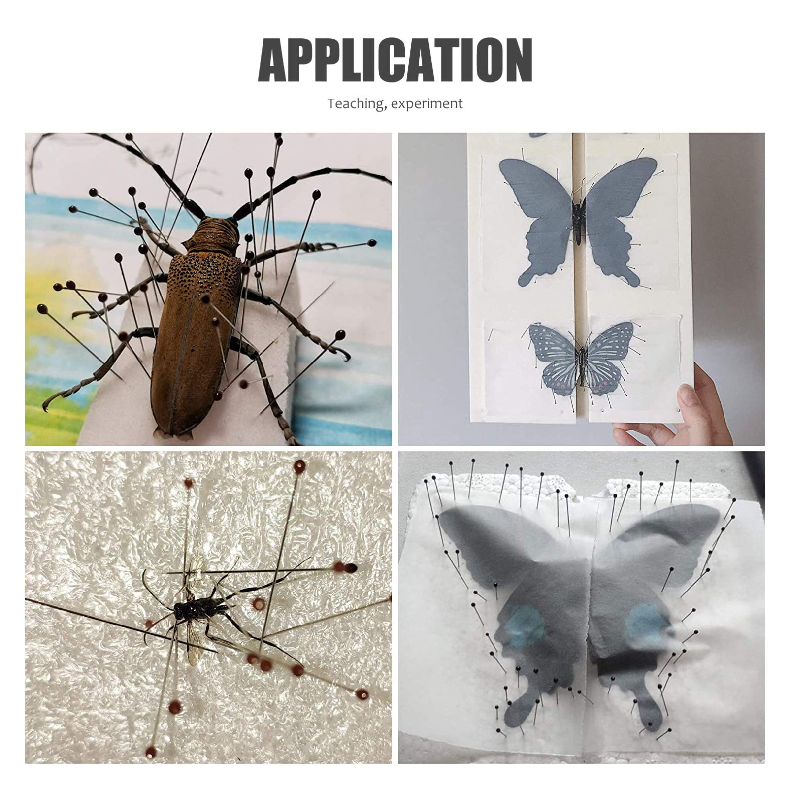 Amazon.co.jp: 100本 標本ピン 昆虫標本 虫ピン 標本 長さ40 幅0.32