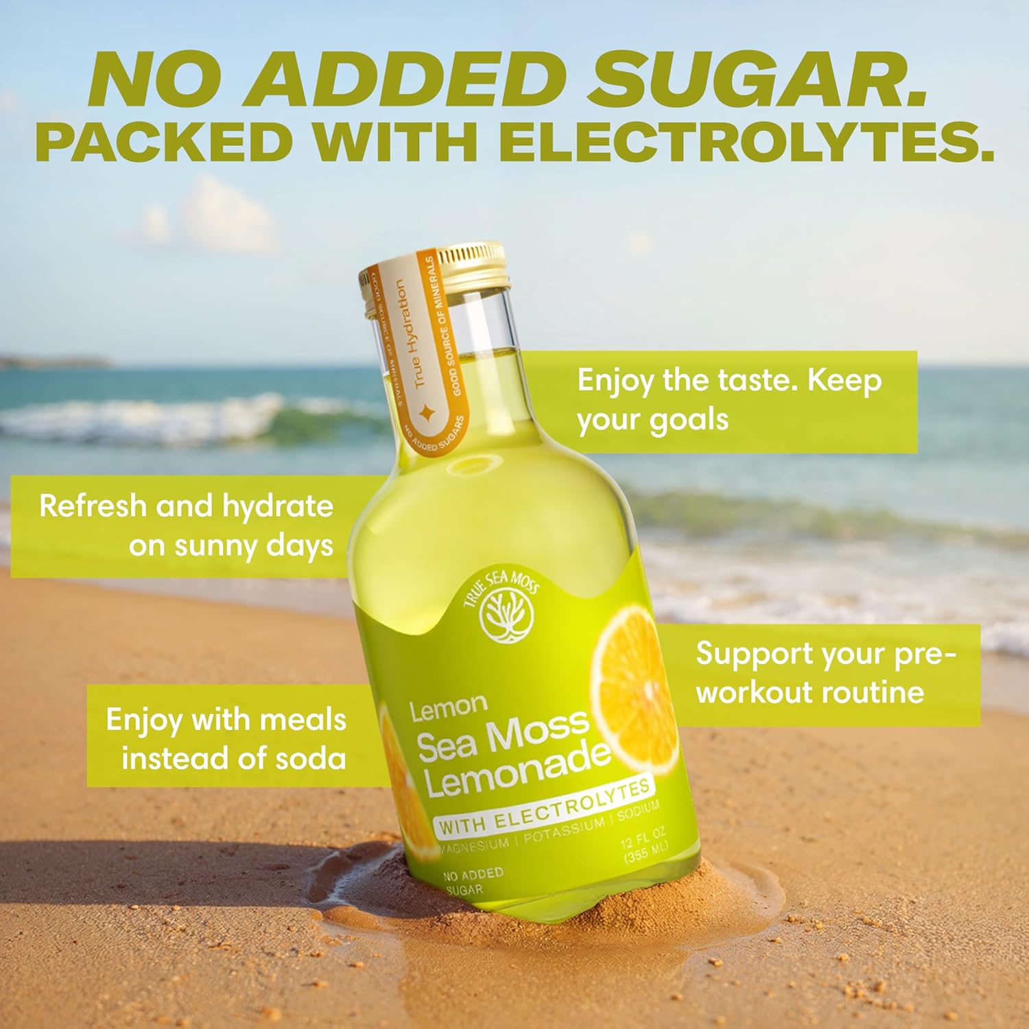 True Sea Moss Lemon Lemonade – Single Flavor Pack with Classic & Electrolyte Formula Variation – 4 × 12 fl oz Bottles – Made in USA