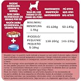 Ver la foto 8