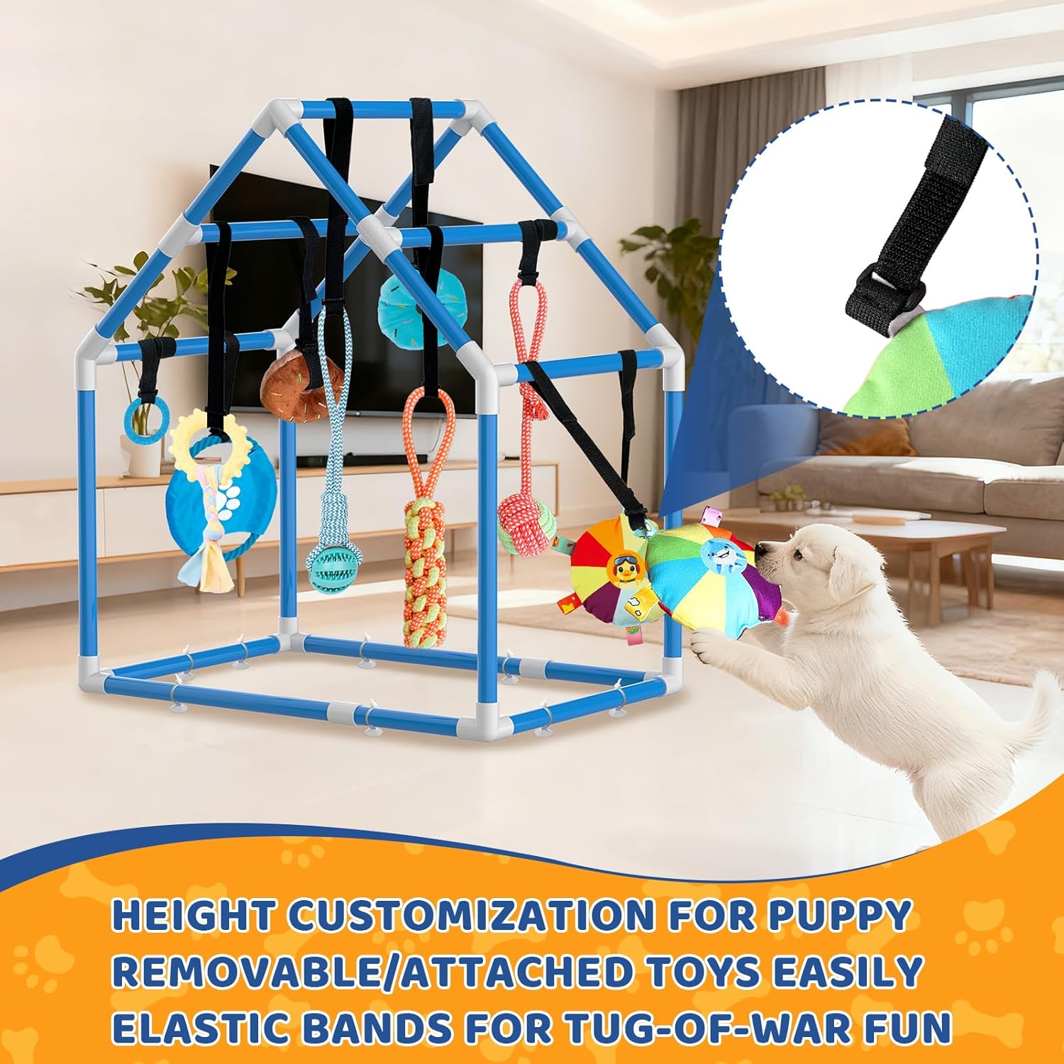 Large Puppy Play Gym & 10 Hanging Toys Indoor Play Gym Interactive Dog Toys for Boredom Enrichment Activity for Small Dog Teething PVC Frame Stretchy Rope with Velcro (Blue,33.5 x 28.5 x 19.6 inch)