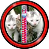 Cremallera del armario - gatitos lindos