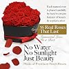 GLAMOUR BOUTIQUE Flores preservadas, 16 rosas rojas eternas en caja de regalo con forma de corazón | Regalo floral único para mujeres, regalo de aniversario para ella, mamá o esposa, linda idea de cumpleaños, caja para pedir novia 7