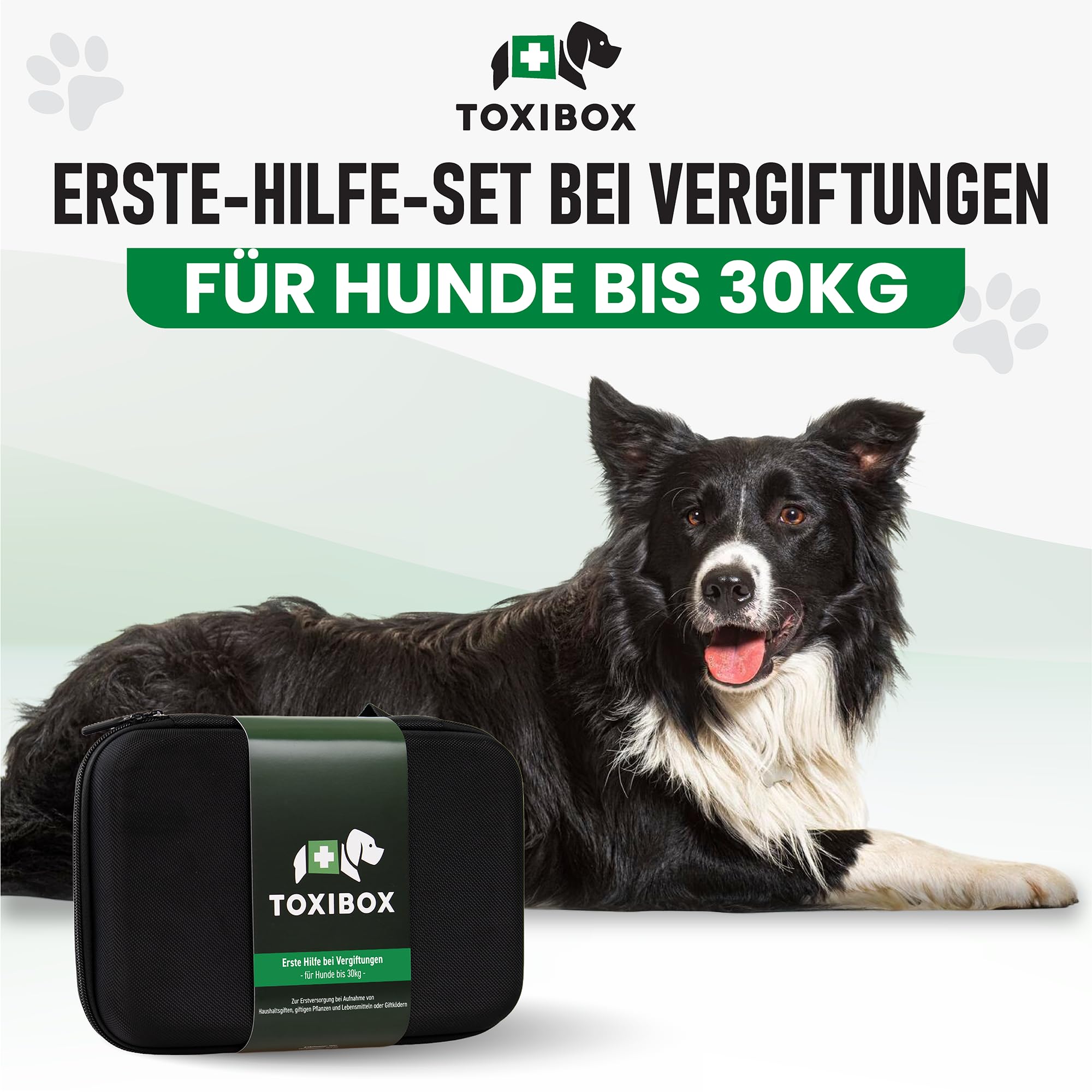 Erste Hilfe für Hunde bei Vergiftung durch Giftköder, Pflanzen & Haushaltsgifte | Mit flüssiger Aktivkohle, Giftfibel, Notrufnummern, Schutz für Halter & mehr – MHD 31.08.2027