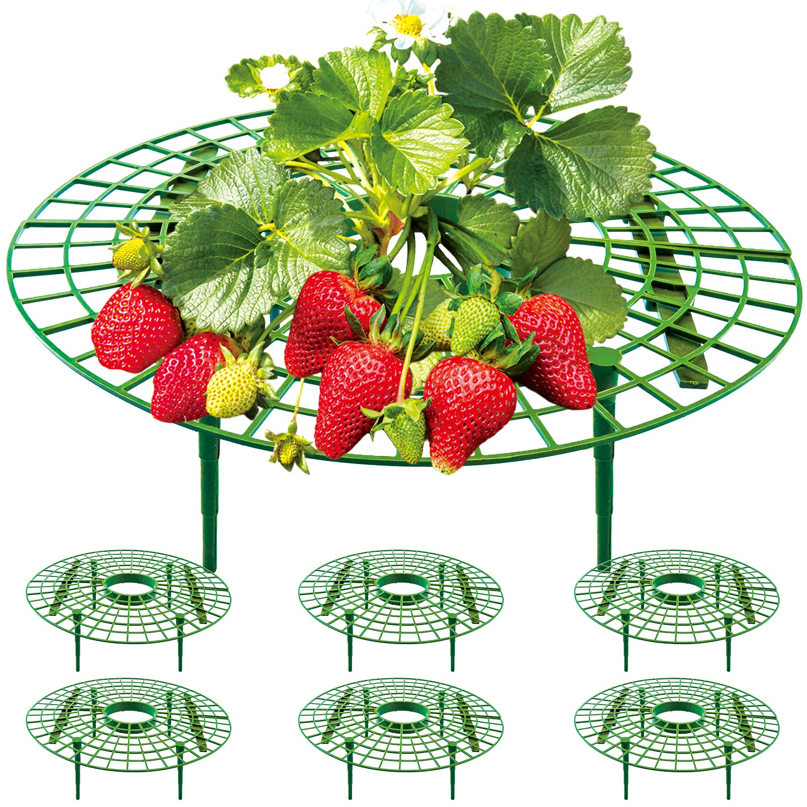 Amazon.com : UCandy 6 Pack Strawberry Supports,strawberry holder plants  live for planting,Strawberry Growing Frame,Strawberry Trellis for Keeping  Fruit Elevated to Avoid Ground Rot (green-6 pack) : Patio, Lawn & Garden