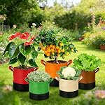 3 Gallon Fabric Grow Bags 5-Pack, 350G Heavy Duty Nonwoven Fabric Pots with Handles, Breathable Grow Planter for Vegetables Flowers Indoor Outdoor Gardening