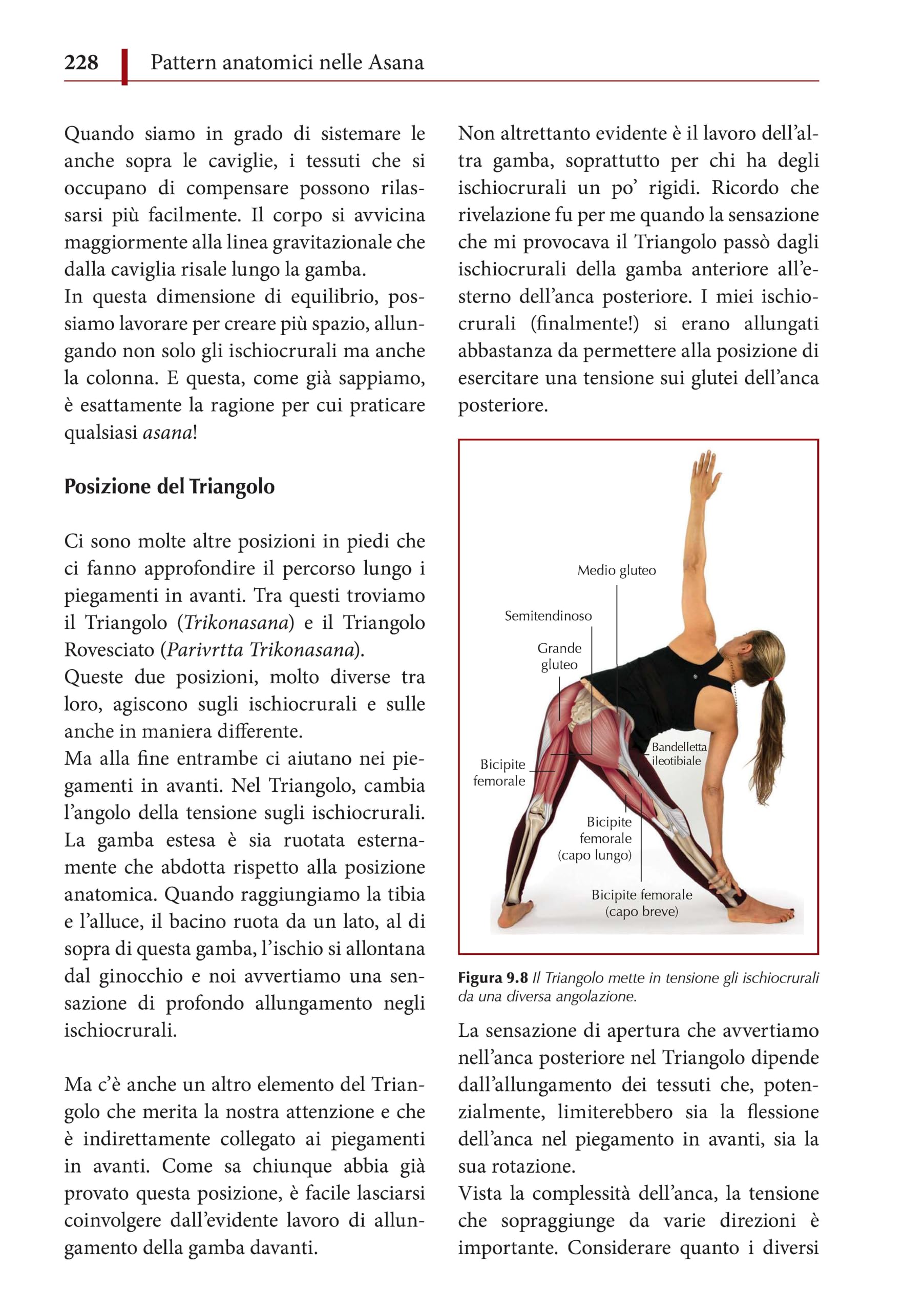 Anatomia funzionale dello yoga. Una guida per praticanti e insegnanti