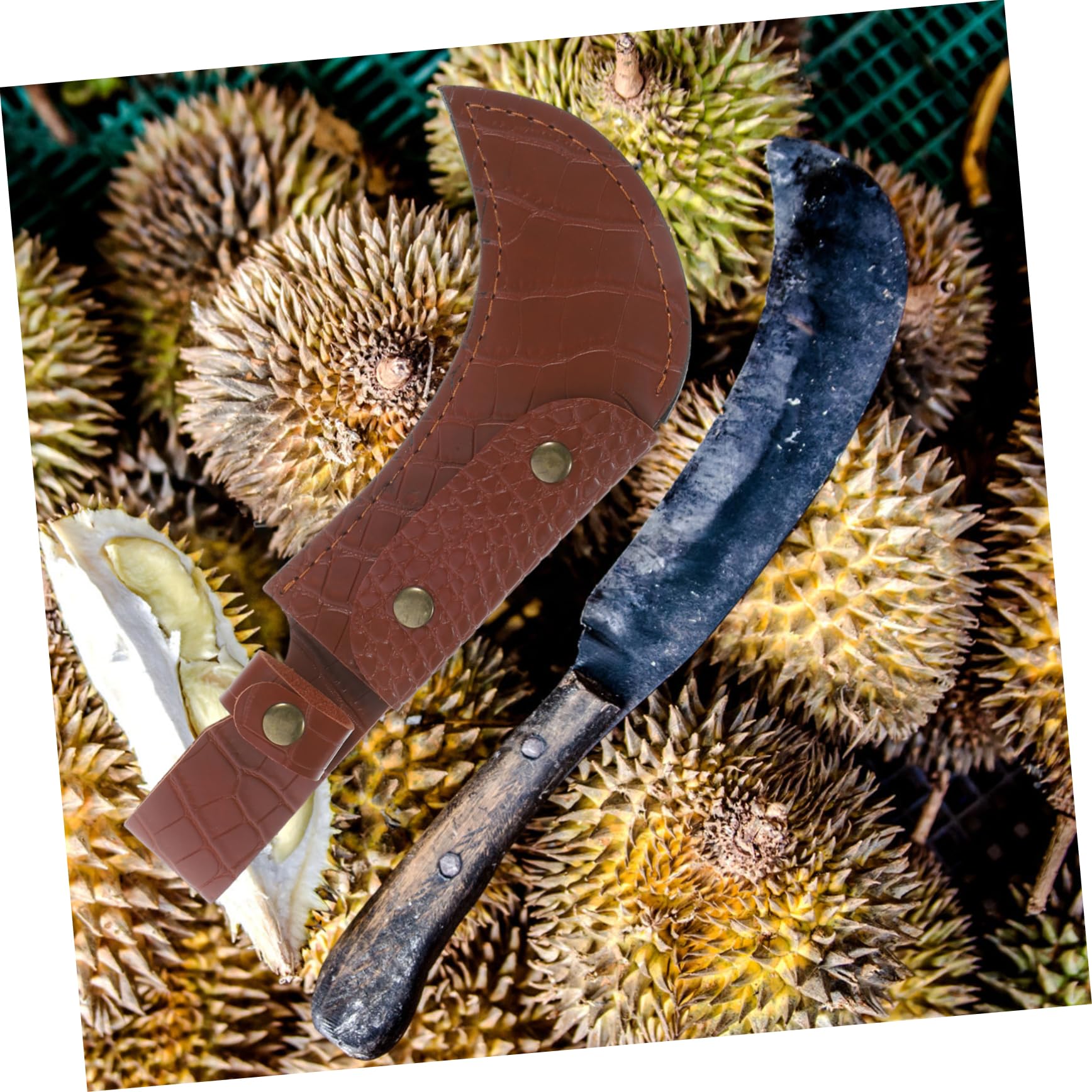 5piezas Cuchillo Multifuncional Funda De Pu Para Protector De De Melón y Accesorio De Cocina Práctico y