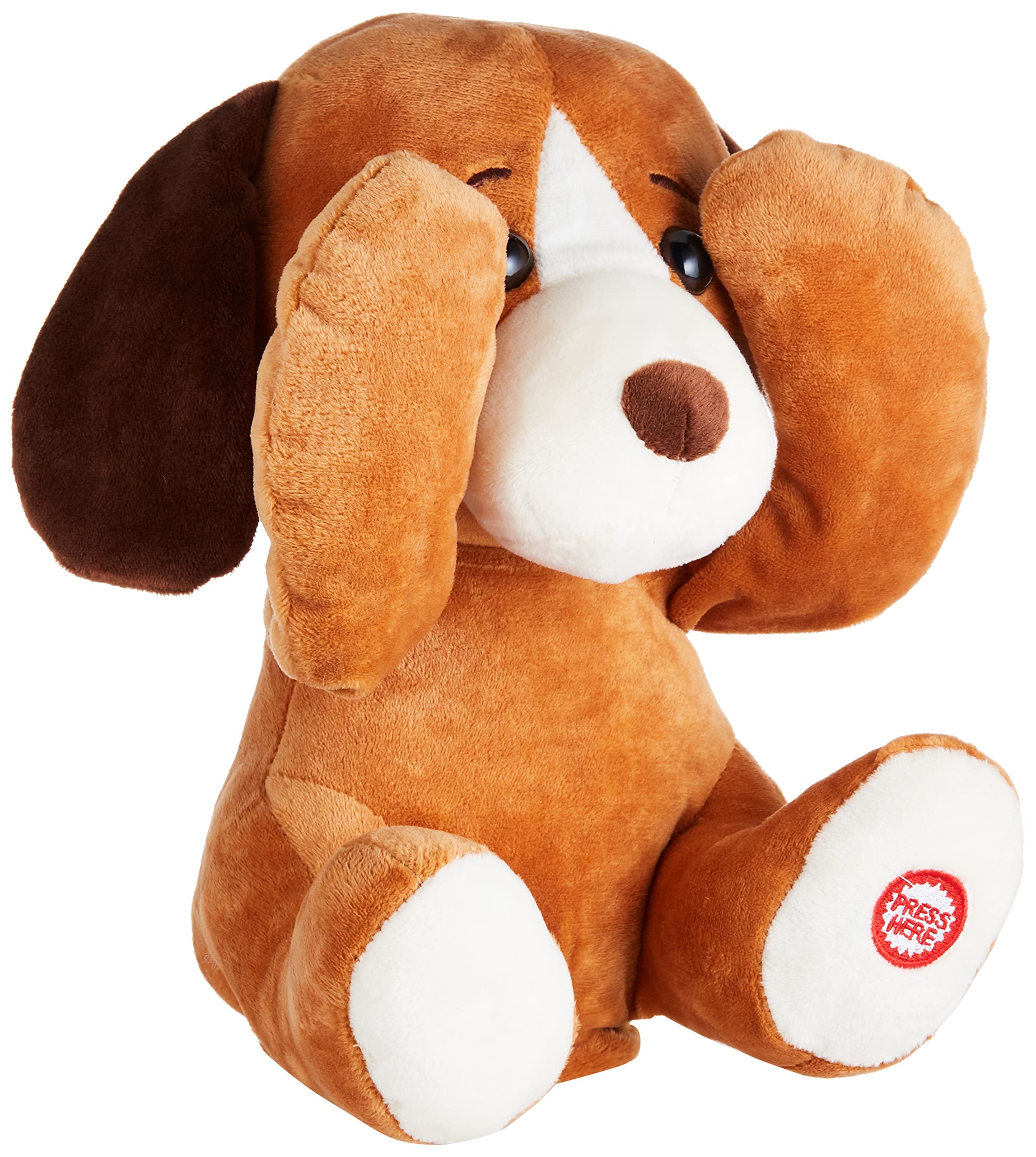 Pugs At PlayPEEK A BOO DASH DOG