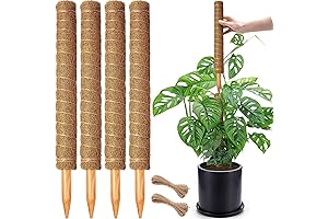 4 Pack 18' Stackable Moss Pole