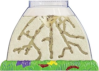 Insect Lore Ant Hill Habitat Kit with Live Ants Voucher – STEM Educational Science Kit for Kids – Includes Pre-Paid Voucher for 50 Harvester Ants – Watch Ants Tunnel and Explore
