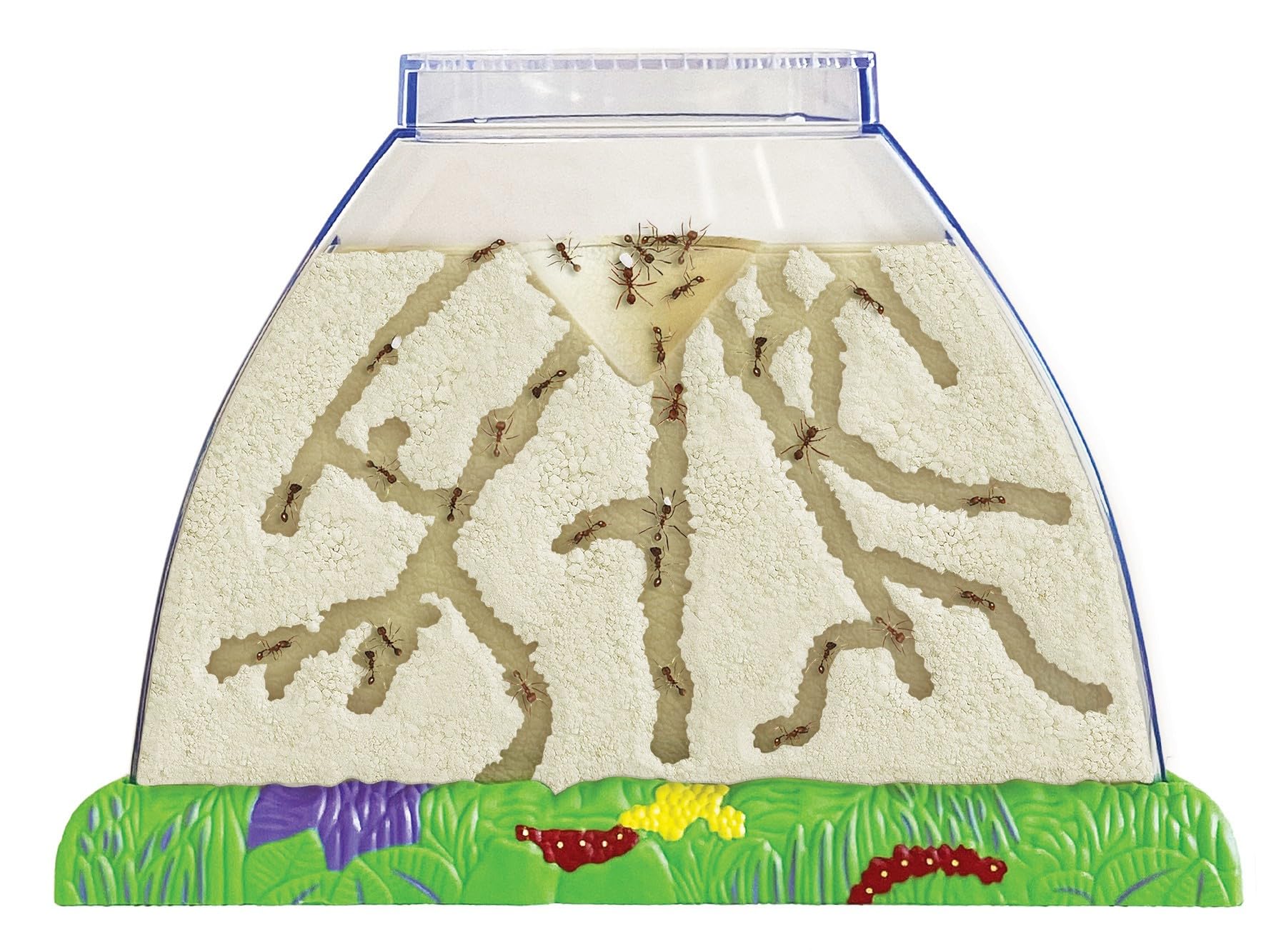 Insect Lore Ant Hill Habitat Kit with Live Ants Voucher - STEM Educational Science Kit for Kids - Includes Pre-Paid Voucher for 50 Harvester Ants - Watch Ants Tunnel and Explore