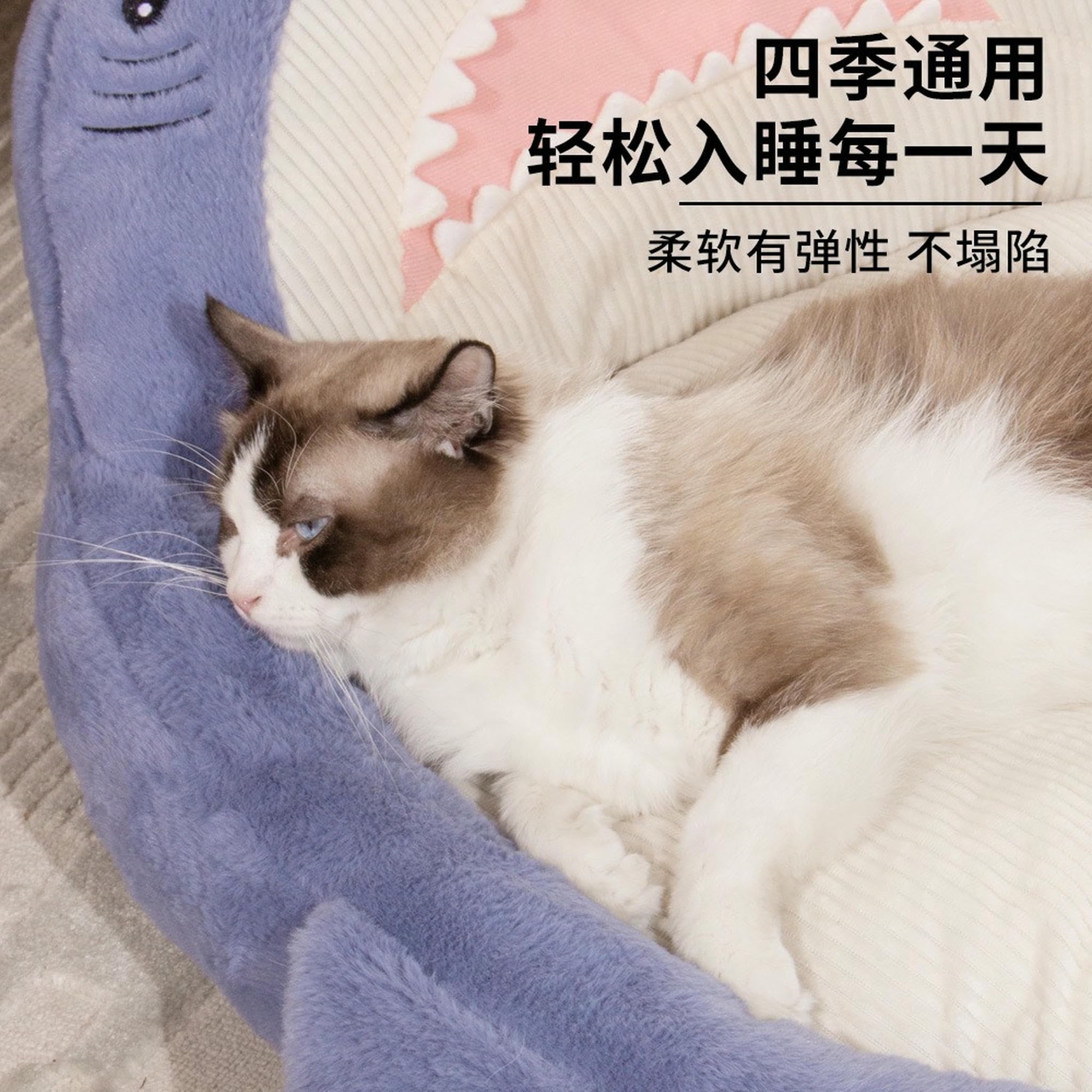 Articoli per Animali Domestici Letto Gatto Cane Creativo Carino Squalo Cartone Animato Peluche Caldo Divano Divertente Quattro Stagioni Pet Mat-blu-60 * 50 Cm (en