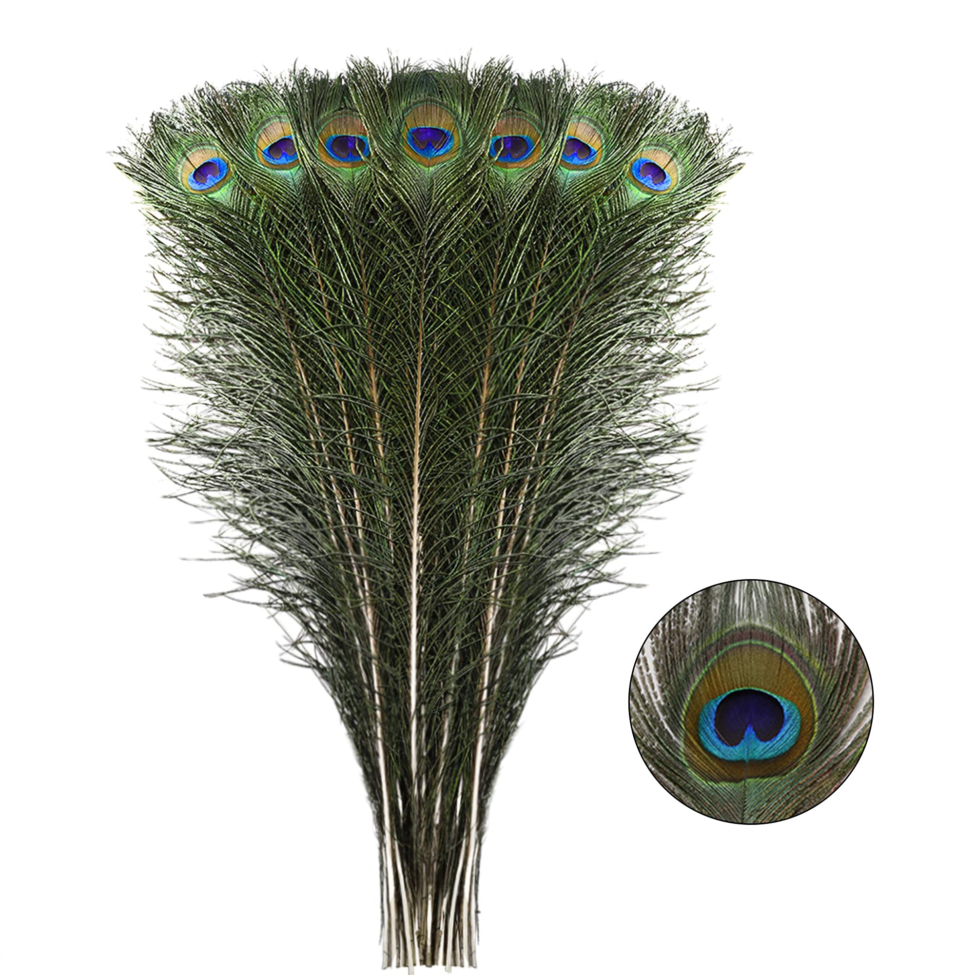 Larryhot Natural Large Peacock Feathers Bulk, Long Feathers 20Pcs,23-28Inch