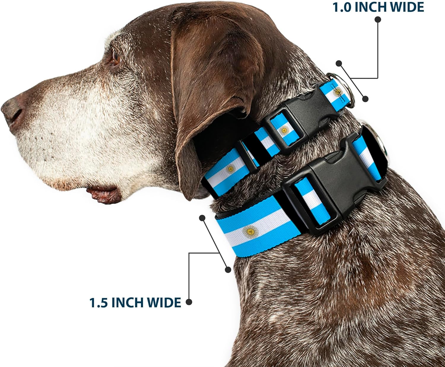 Buckle-Down PC-W30109-WL Argentina Flags Plastic Clip Collar, Wide Large/18-32"