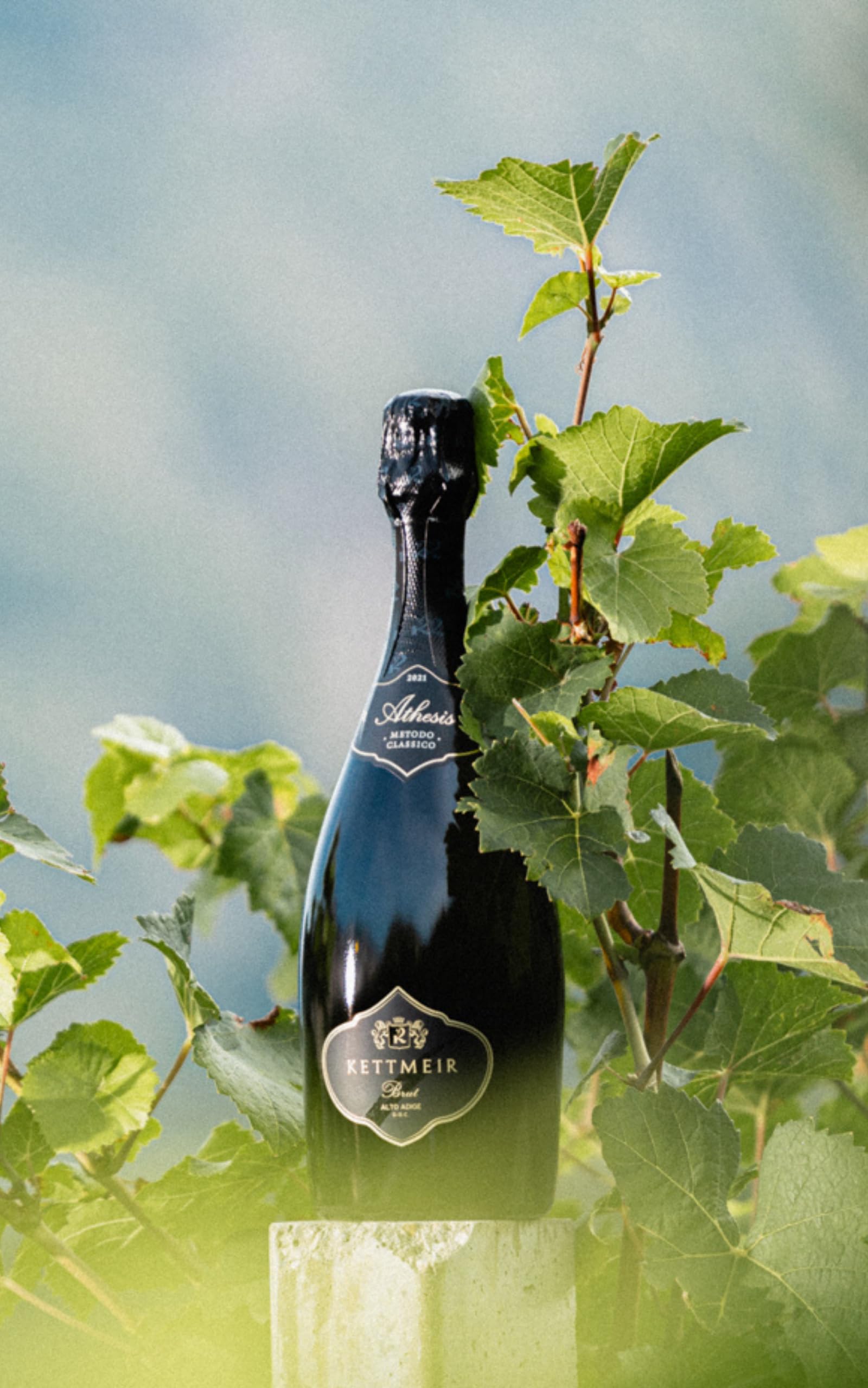 Kettmeir "Athesis" Brut Alto Adige DOC - 0,75L