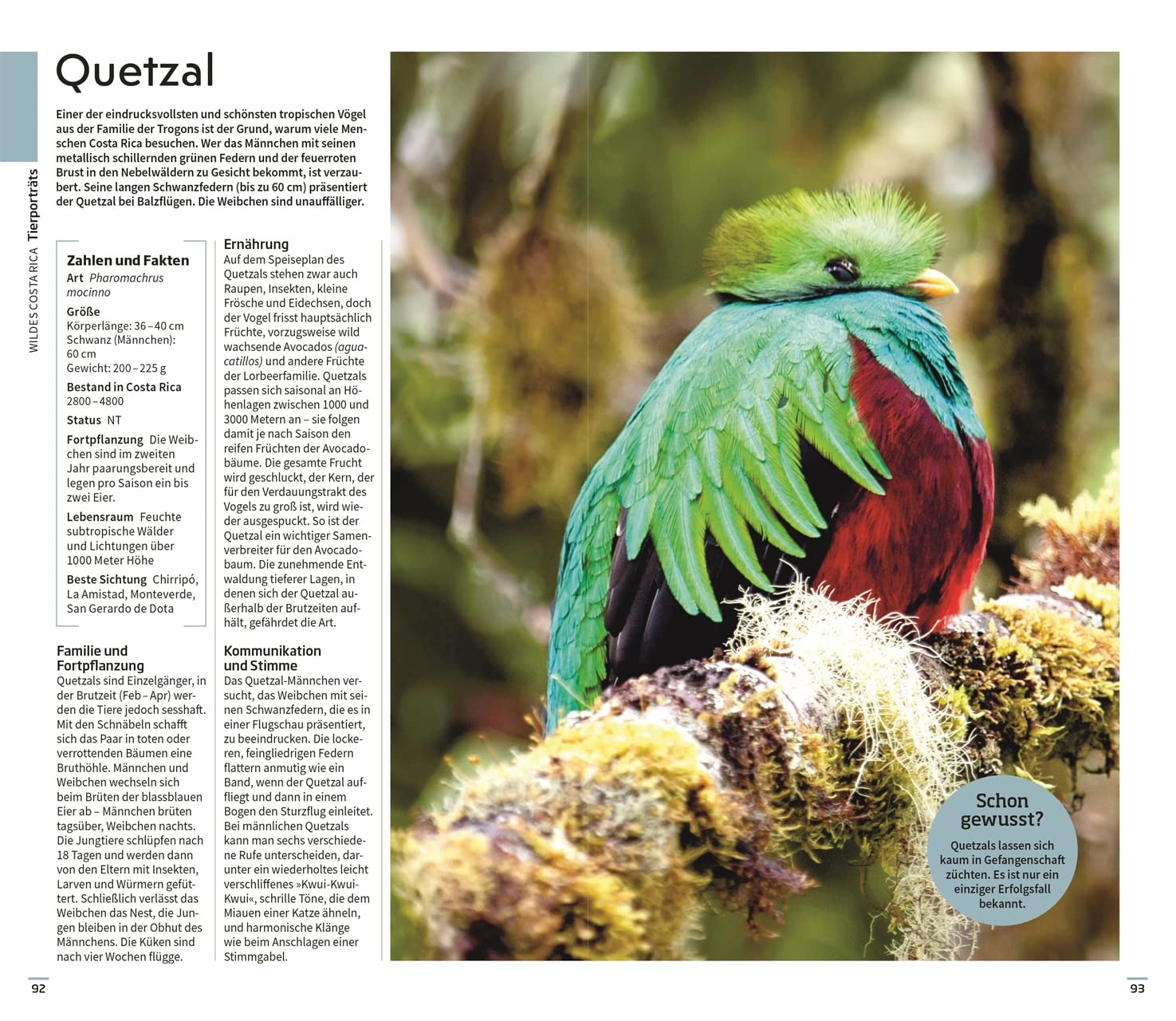 Vis-à-Vis Reiseführer Costa Rica: Mit über 40 Seiten Tierporträts